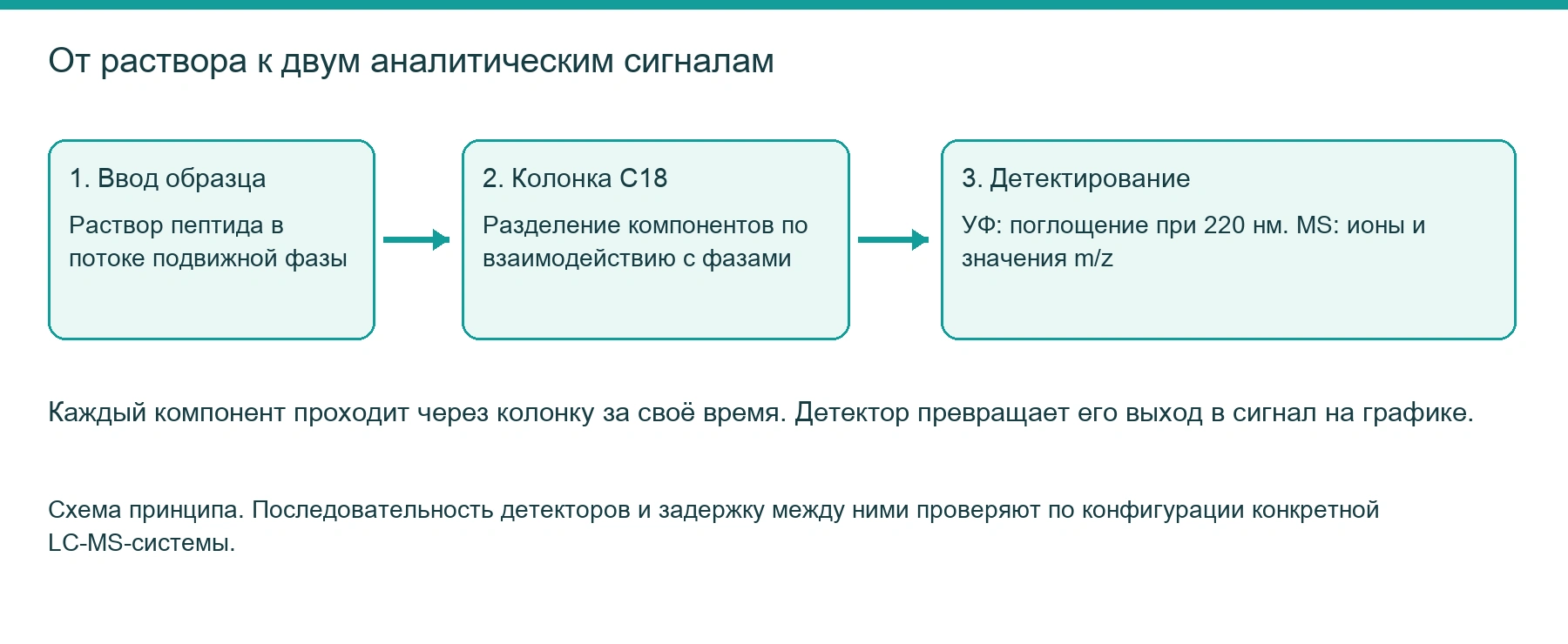 Схема ВЭЖХ: ввод образца, разделение в колонке и регистрация сигналов
