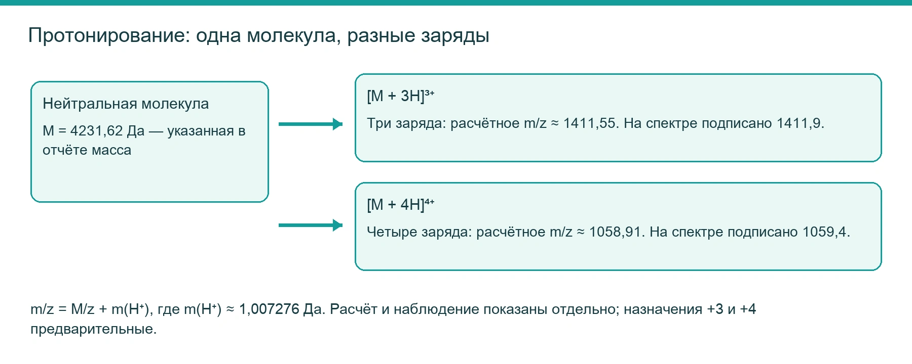 Протонирование пептида и образование ионов с зарядами +3 и +4